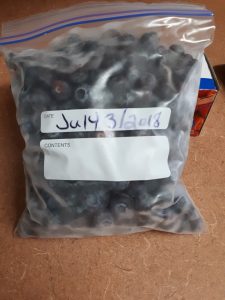 Place frozen blueberries into freezer bags and date them