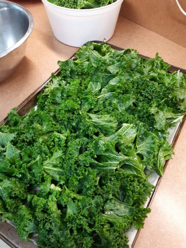 Spread out oiled kale leaves onto cookie sheet