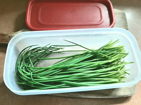 Container with harvested chives