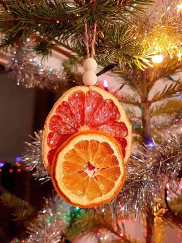 Dried Orange Christmas Decorations